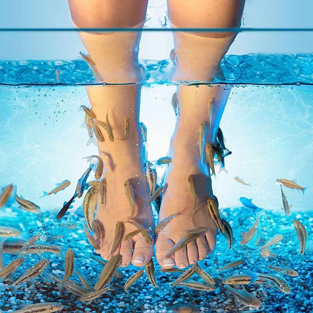 Fish Spa